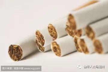 国产烟丝卷烟教程视频,从原料到成品，一学就会